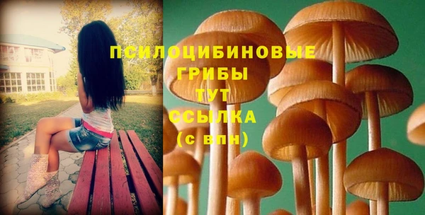 гидропоника Армянск
