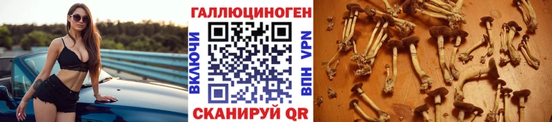 Галлюциногенные грибы Magic Shrooms  хочу наркоту  Межгорье 